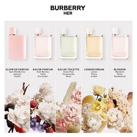 burberry her elixir de parfum 100 ml|where to buy burberry perfume.